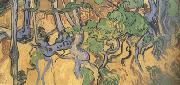 Vincent Van Gogh Tree Root and Trunks (nn04) France oil painting artist